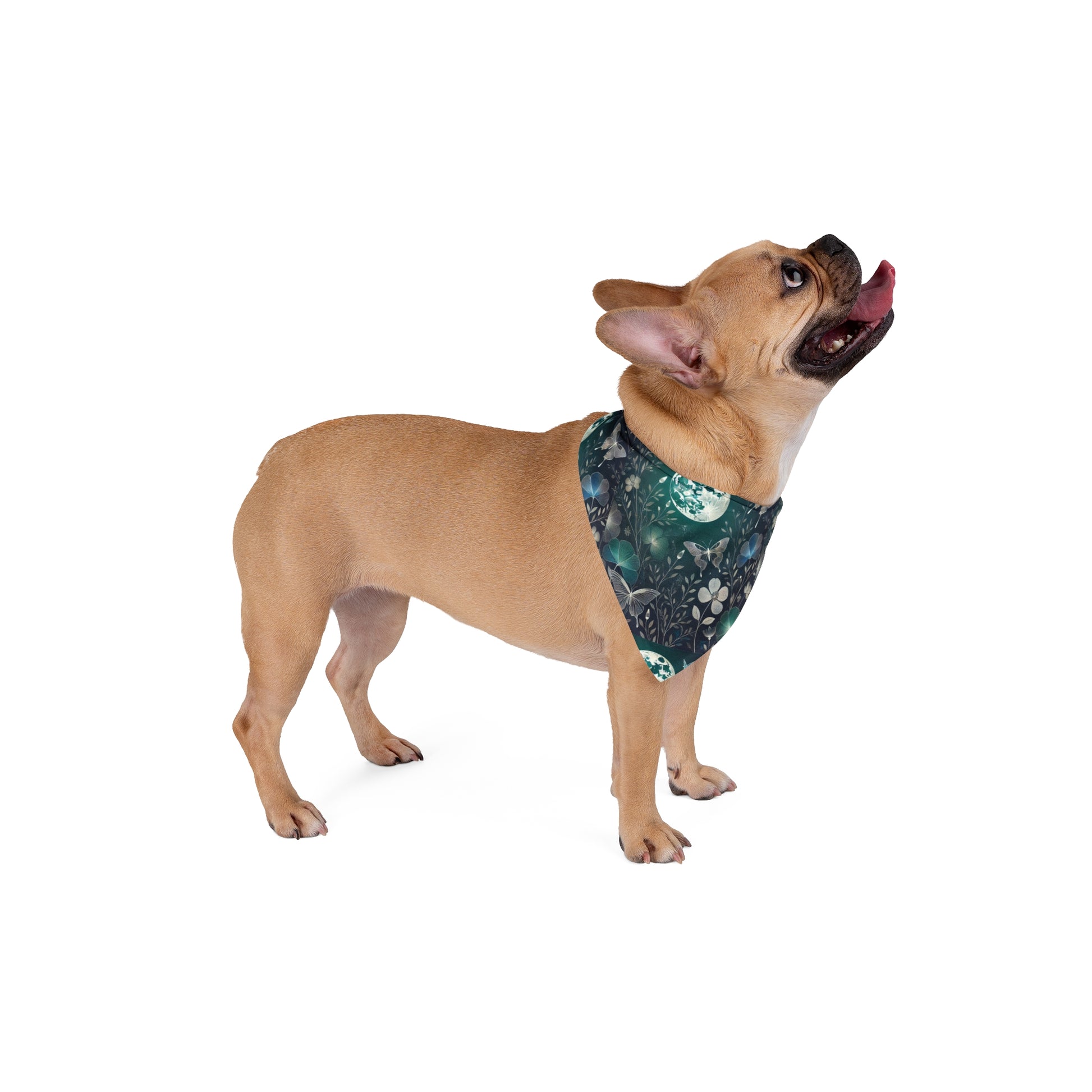 Pet Bandana - Mystical Garden - GSC Trade Store