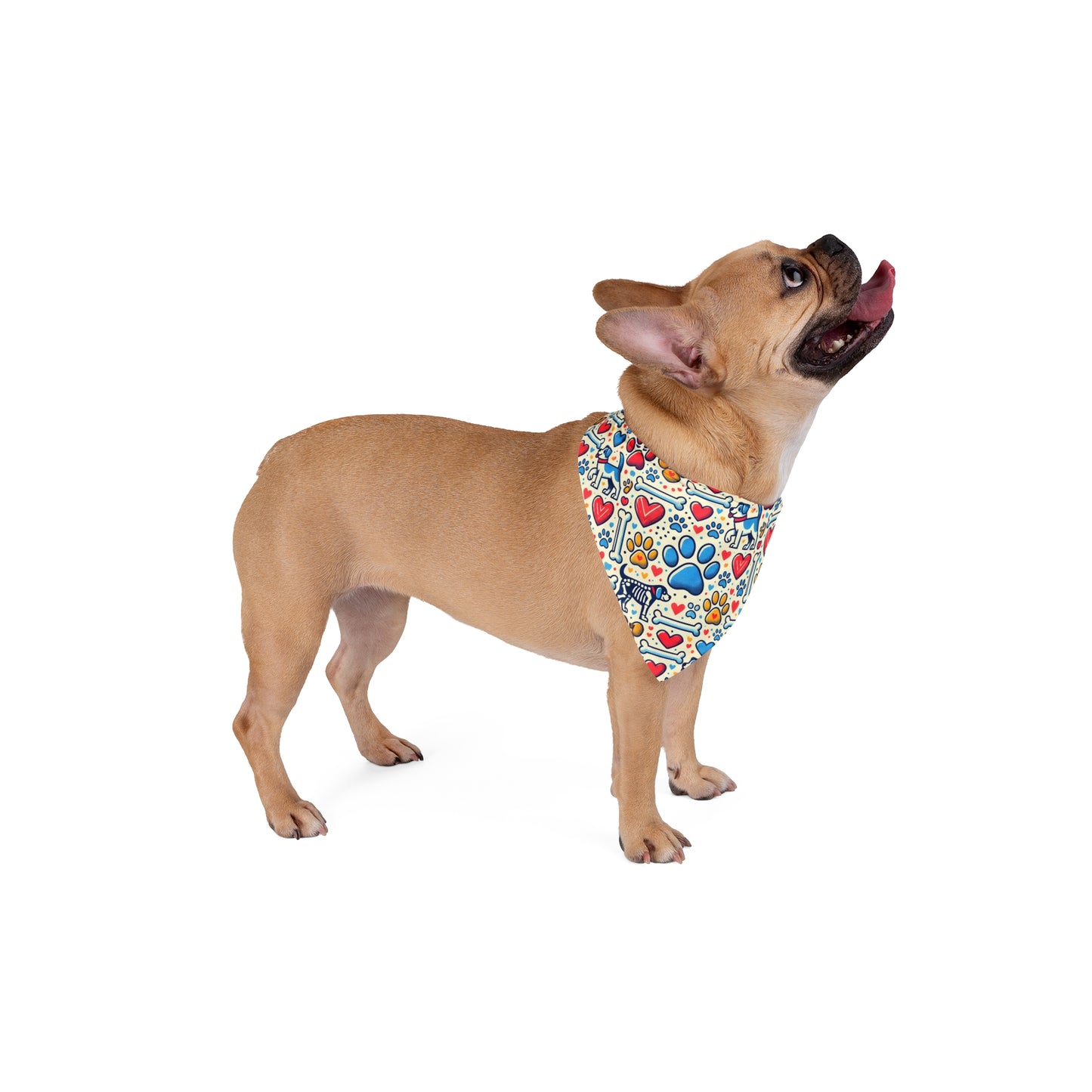 Pet Bandana - P&P - Back To Stylish