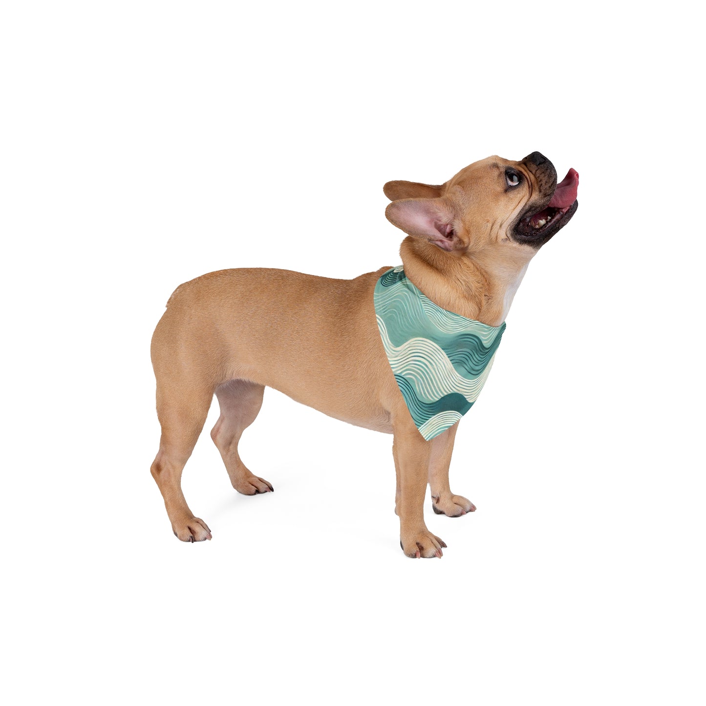 Pet Bandana - Mindful Waves - GSC Trade Store