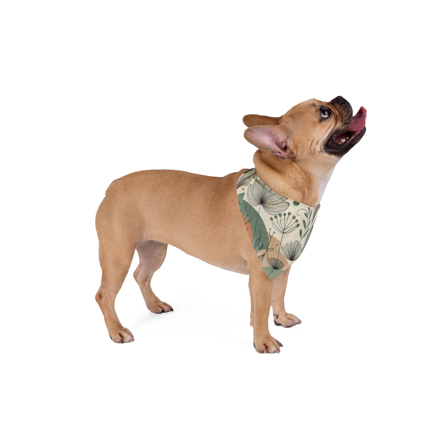 Pet Bandana - Organic Flow - GSC Trade Store